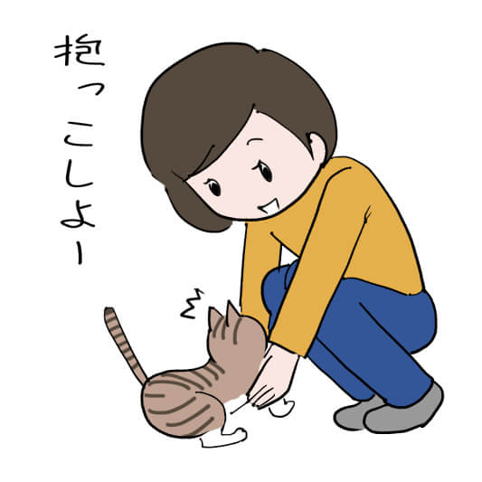 猫を抱き上げる