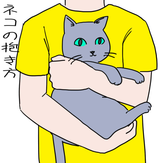 正しい猫の抱き方